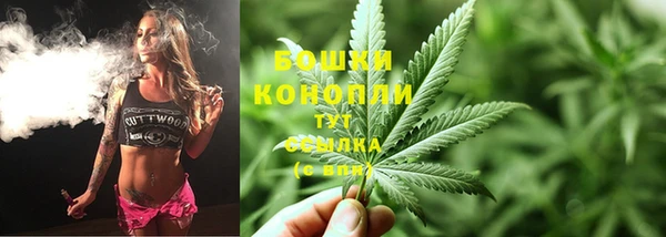 трава Аркадак