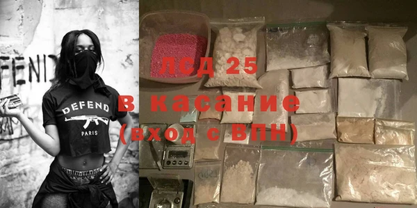 трава Аркадак
