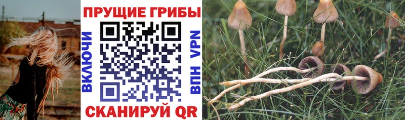 Галлюциногенные грибы Magic Shrooms  Балашов 
